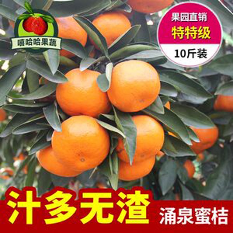如何选择可靠的蔬菜配送服务？这个问题困扰着许多家庭和企业，尤其是在快节奏的现代生活中。让我们一起探索一下这个话题吧。