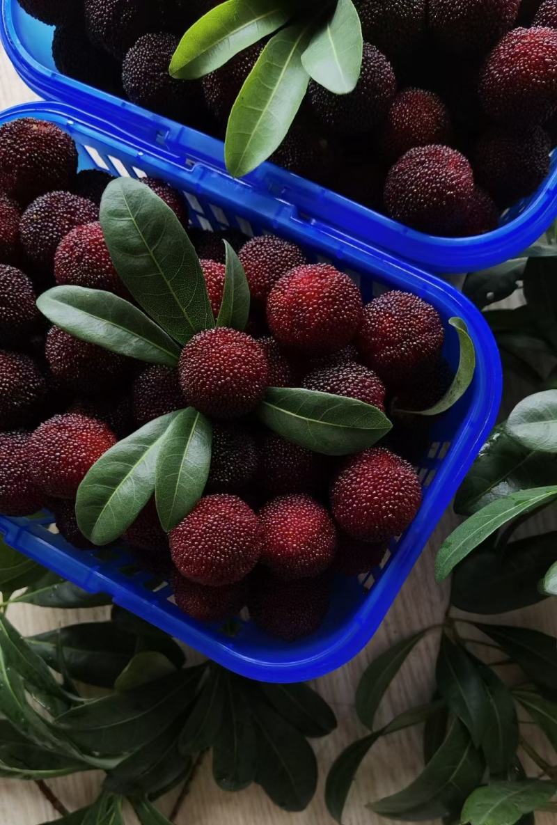 果蔬种植基地的选址与规划：一个专业种植者的实践心得