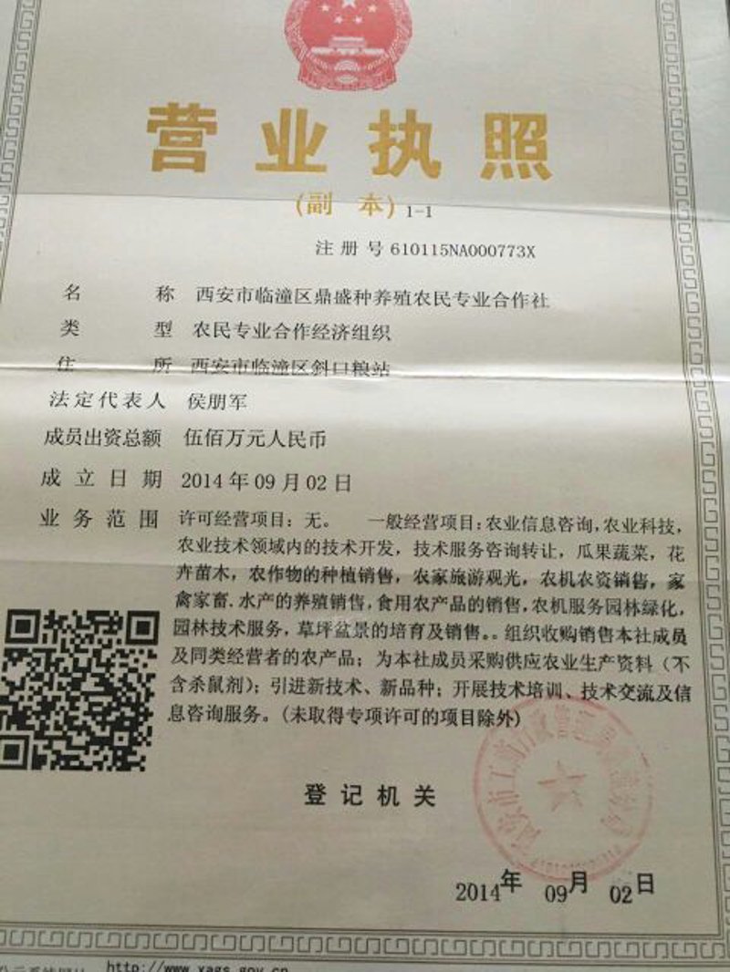 如何在临海找到优质且经济实惠的果蔬批发源？今天就为你揭开这个谜题。