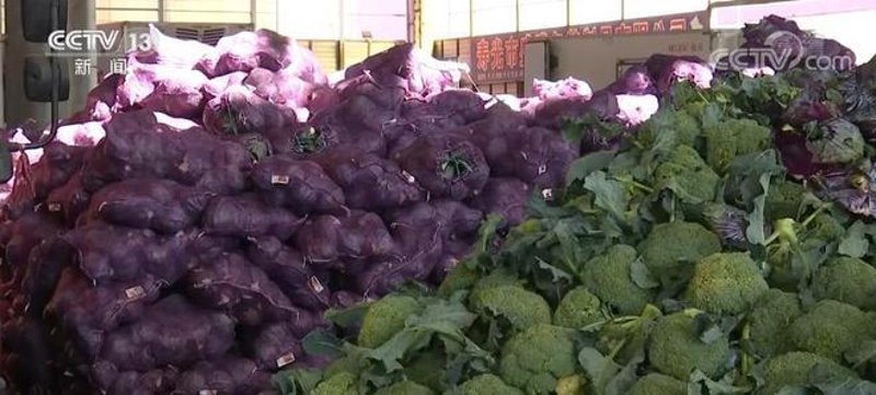 新鲜蔬菜配送：改变你家庭餐桌的绿色革命